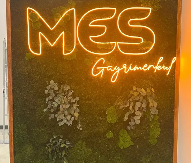 ALTINTAŞ MES GAYRİMENKUL 1
