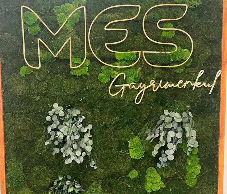 ALTINTAŞ MES GAYRİMENKUL 2