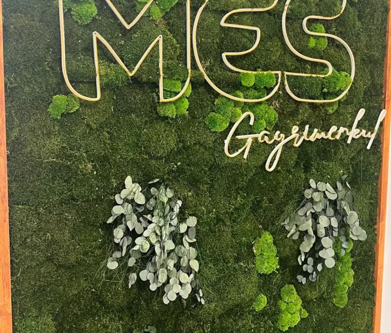 ALTINTAŞ MES GAYRİMENKUL 3