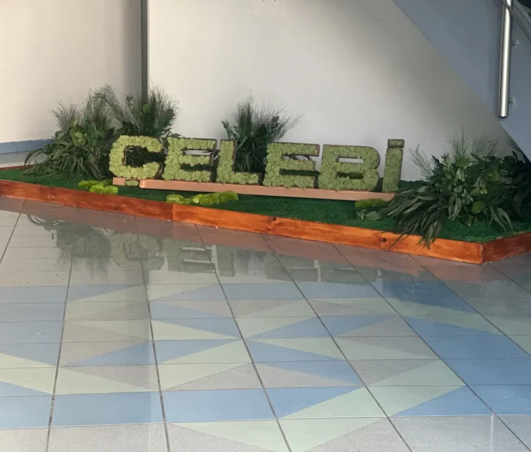 celebi-milas-bodrum-havalimani-1