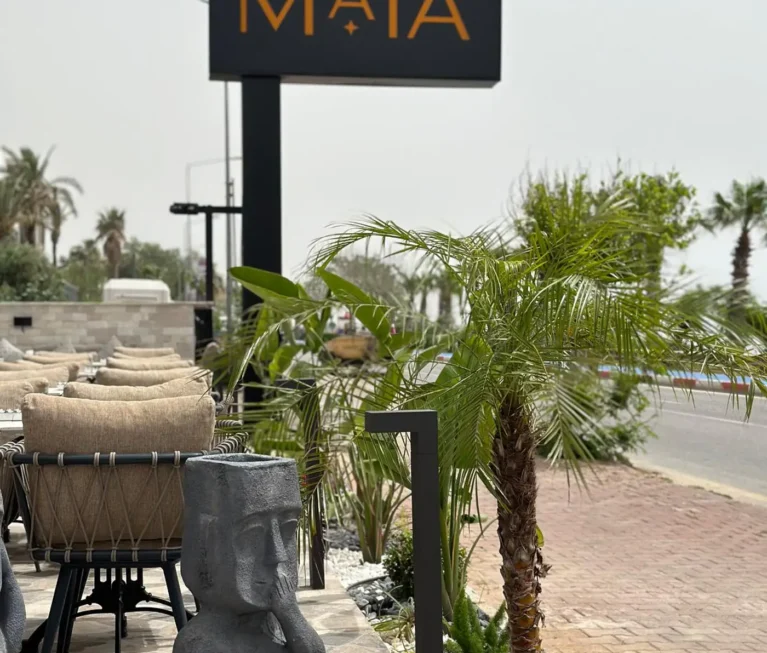 MAIA 1