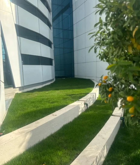 SUNEXPRESS GENEL MÜDÜRLÜK PLAZA GİRİŞİ ÇİM UYGULAMASI 1 (3)
