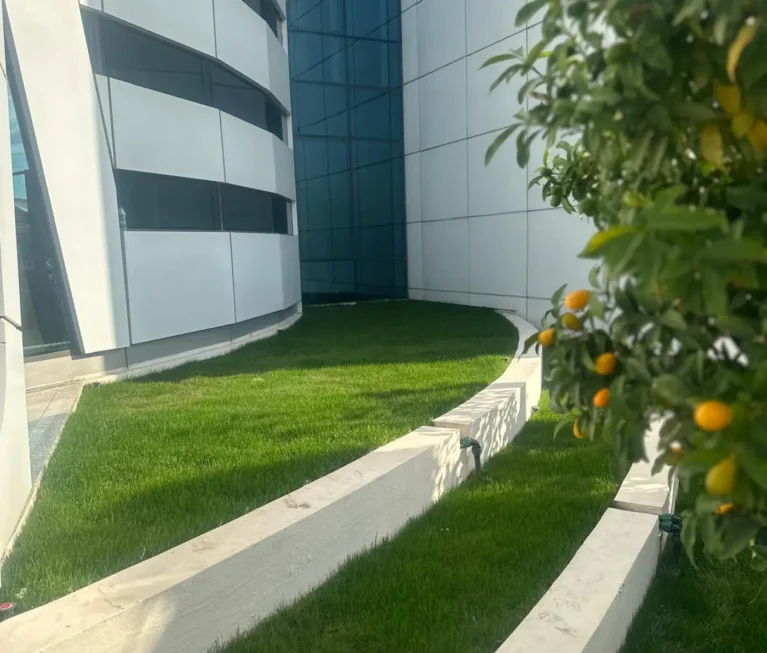 SUNEXPRESS GENEL MÜDÜRLÜK PLAZA GİRİŞİ ÇİM UYGULAMASI 1 (3)